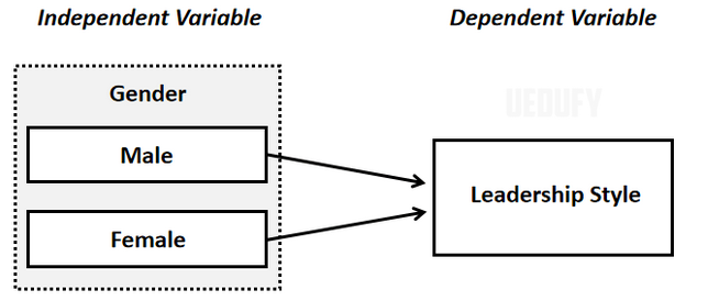 Example 4: Conceptual Framework [independent and dependent variables]. Source: uedufy.com